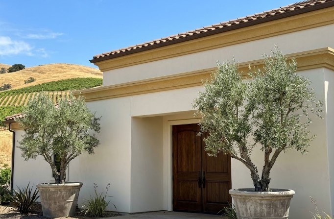 Winery entrance with cream stucco walls, an ochre trim band, terracotta tile roof, dark wood double doors and potted olive trees, with vineyard-covered golden hills behind