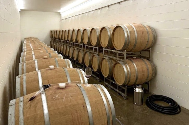 Freshly painted cream block walls in a barrel room with rows of oak wine barrels on steel racks